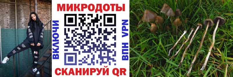 Галлюциногенные грибы прущие грибы  Купить где  Светлый 